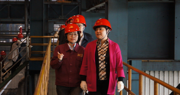 代市長蔡麗新來我公司視察