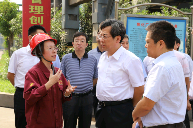 省環(huán)保廳廳長(zhǎng)王天琦一行來(lái)淮鋼視察